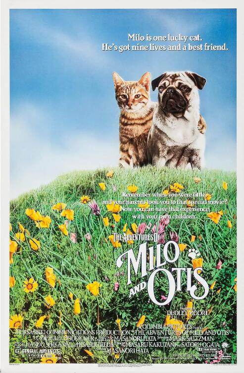 小貓的故事(全集)