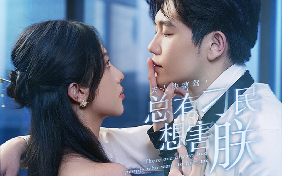 夫人快救駕，總有刁民想害朕(全集)