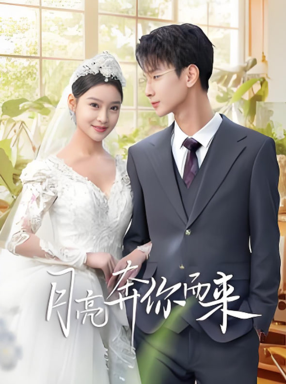 月亮奔你而來(lái)(全集)