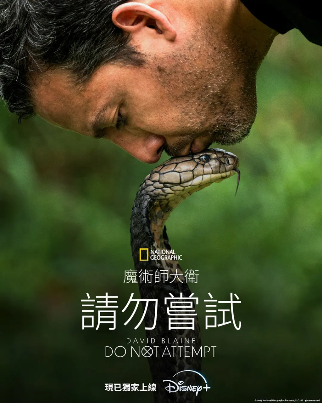 大衛(wèi)·布雷恩：請勿嘗試(全集)