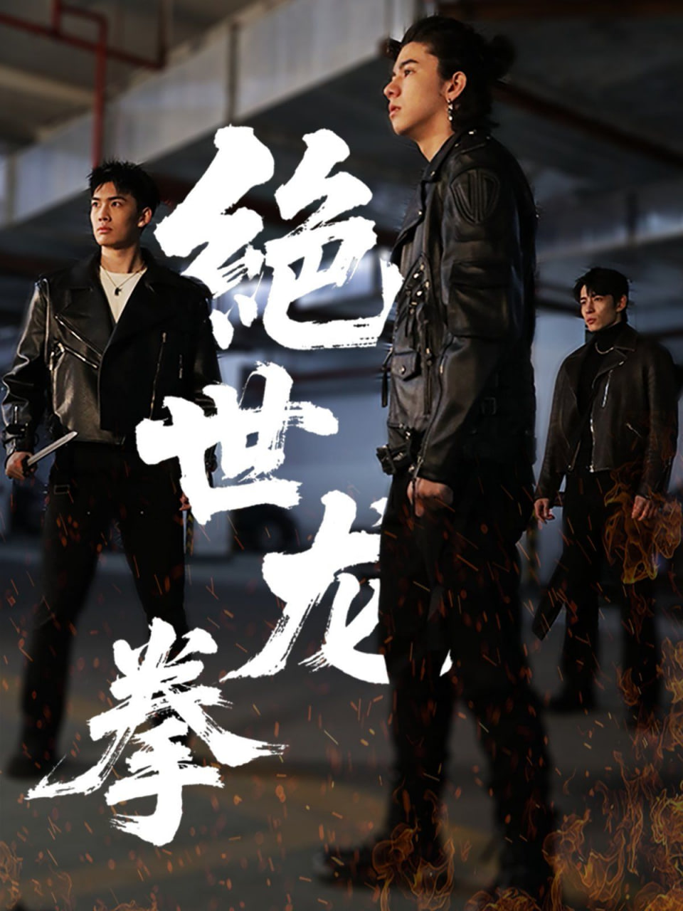 絕世龍拳(全集)