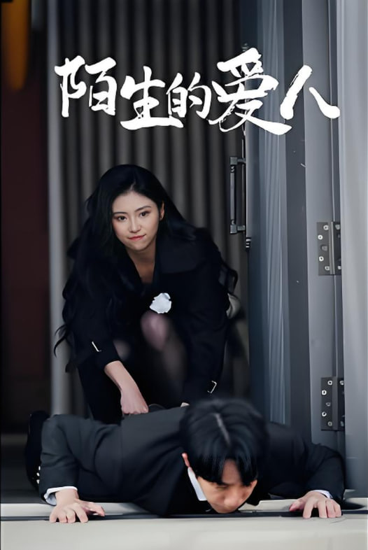 陌生的愛人(全集)