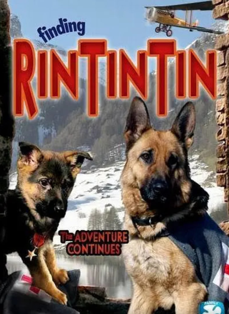 發(fā)現(xiàn)任丁丁(全集)