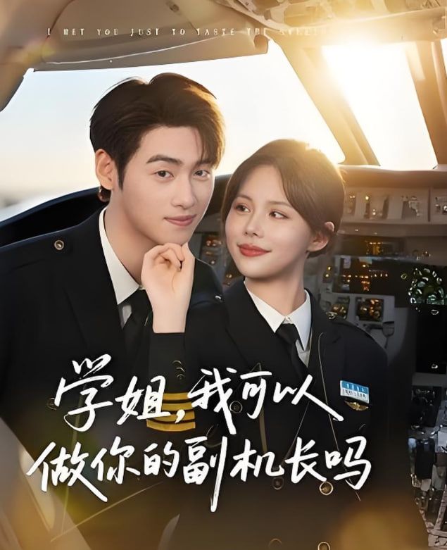 學(xué)姐我可以做你的副機(jī)長(zhǎng)嗎(全集)