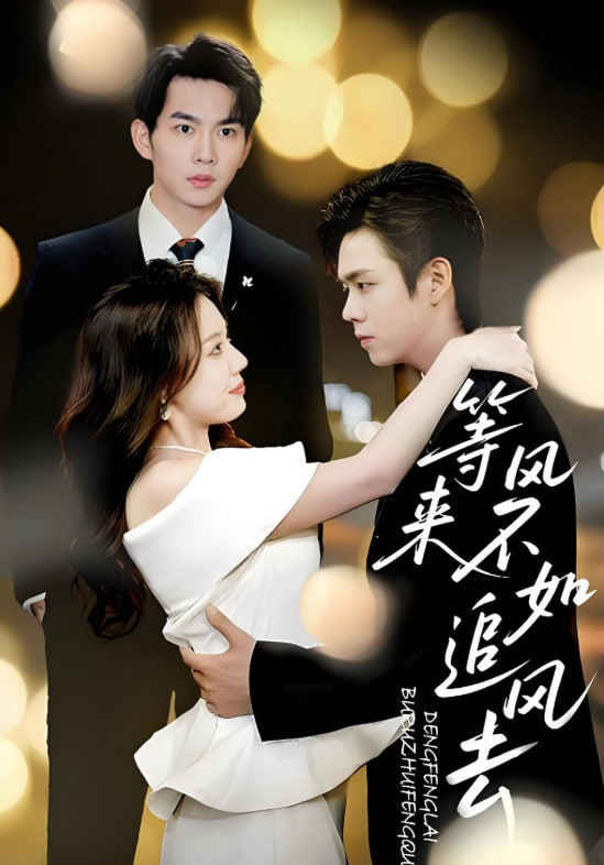 等風來不如追風去(全集)