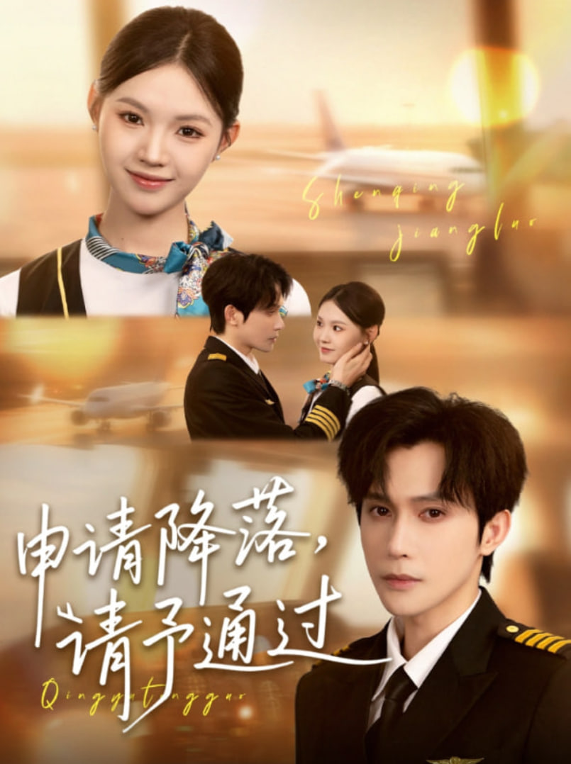 申請(qǐng)降落請(qǐng)予通過(全集)