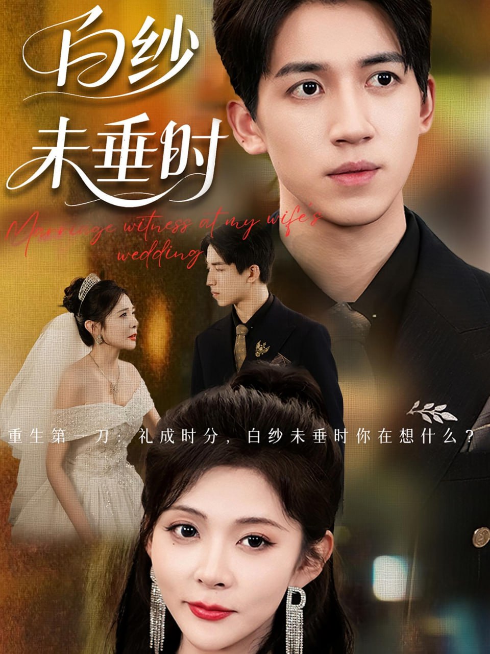 老婆婚禮我當(dāng)證婚人（白紗未垂時(shí)）(全集)